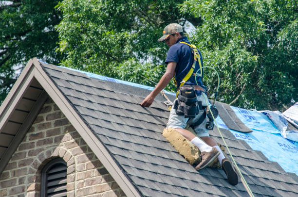 Professional Roofing Contractor in Prescott, AR